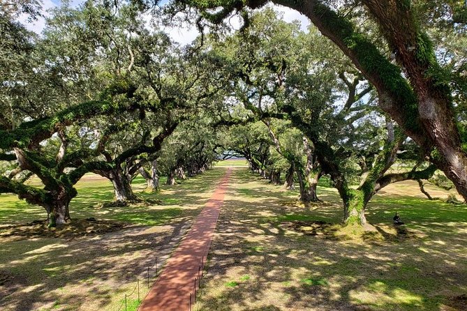 Oak Alley Plantation Tour With Transportation - Tour Inclusions and Pricing