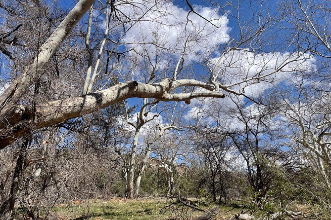 Oak Creek Canyon, with Native American history and Chapel too! - An Authentic Taste of Sedona’s Natural and Cultural Heritage