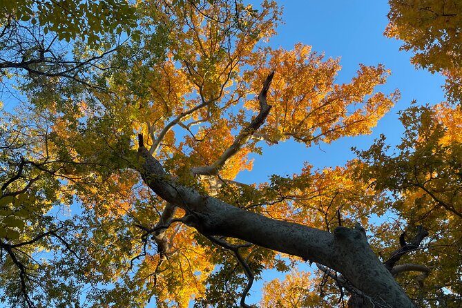 Oak Creek Canyon, with Native American history and Chapel too! - What Travelers Are Saying (Based on reviews)