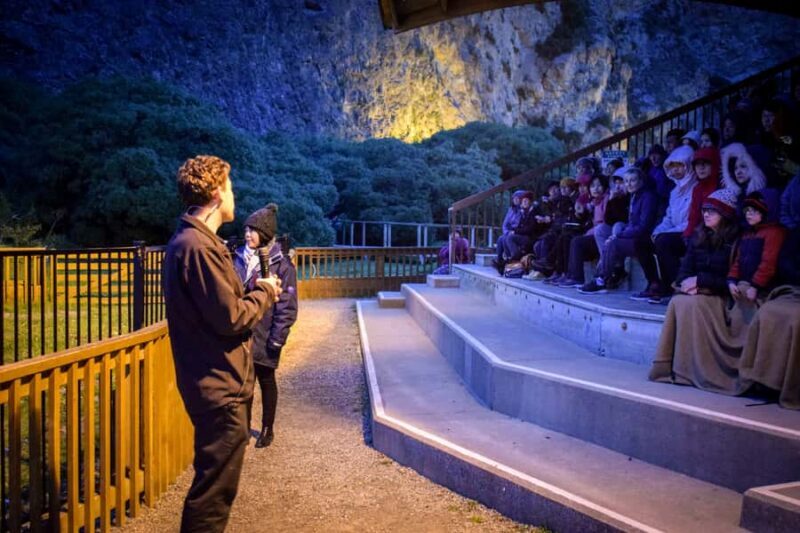 Oamaru: Penguins Evening Viewing Ticket - The Wildlife and Conservation Focus