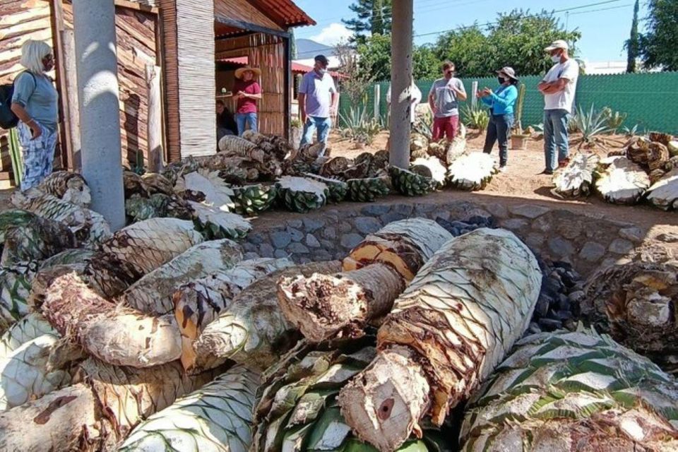 Oaxaca: Ancestral Mezcal Experience - Key Points