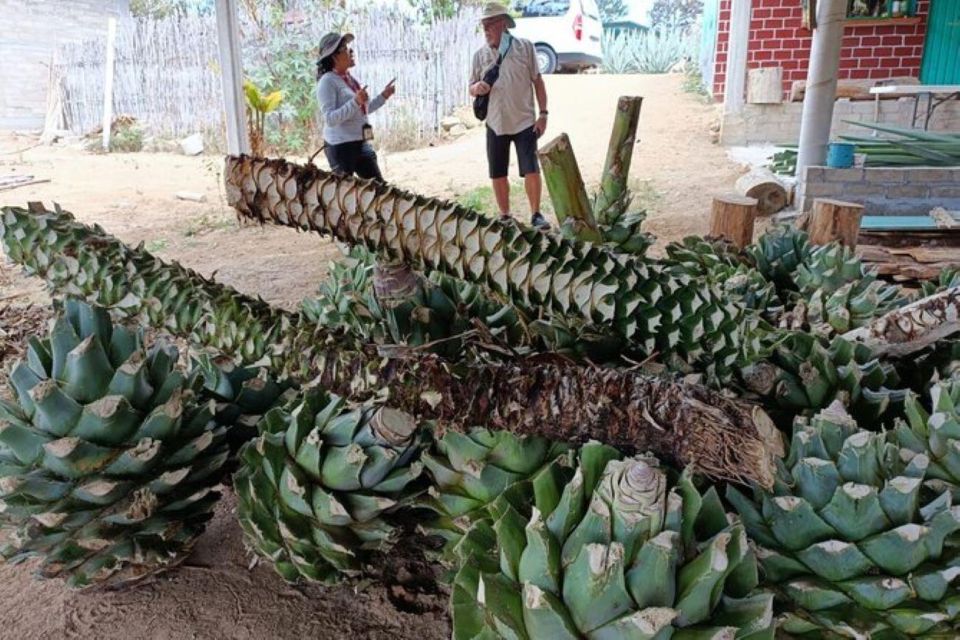 Oaxaca: Ancestral Mezcal Experience - Historic Religious Architecture