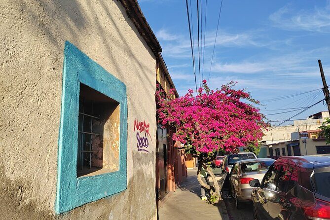 Oaxaca: Beyond the surface - Practical Tips for Participants