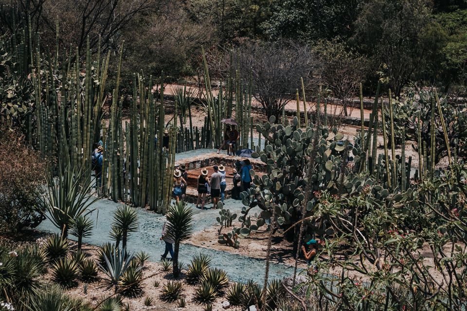 Oaxaca City Walking Tour - Markets, Textile Museum & Lunch - Key Points