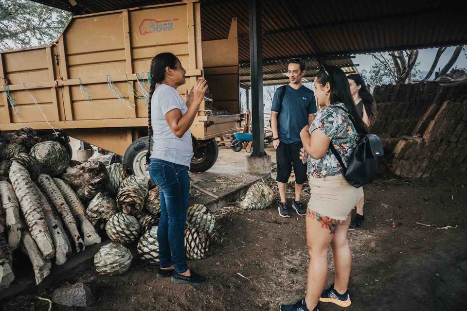 Oaxaca: Crafts & Cuisine Culture Tour - Mezcal Distillery Sustainable Practices