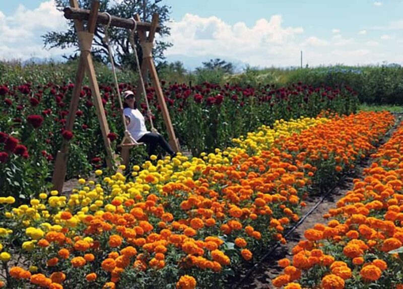 Oaxaca: Day of the Dead Altar Workshop with Meal - A Closer Look at the Experience