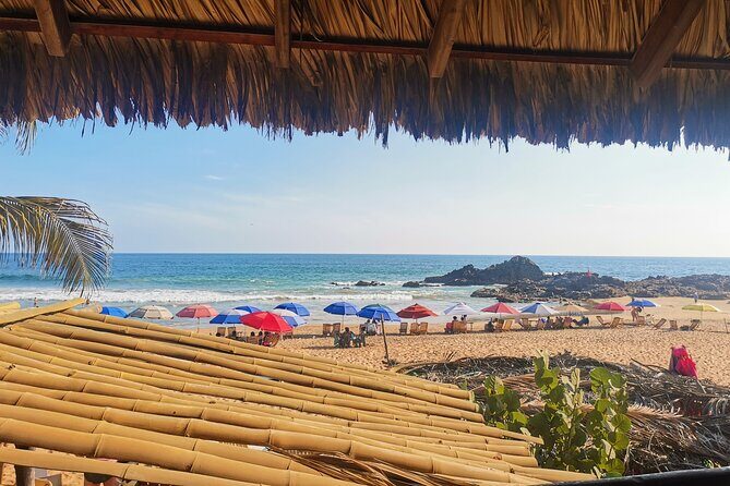 Oaxaca de Juarez to Huatulco - Private Transfer - Pricing and Value