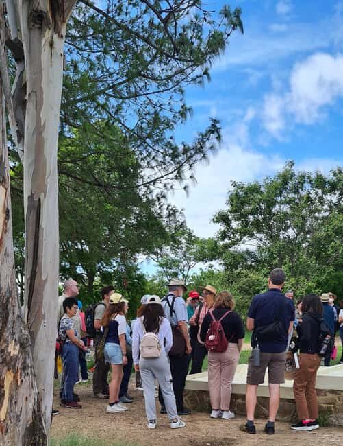 Oaxaca: Discover Monte Albán and the markets of Oaxaca - The Sum Up