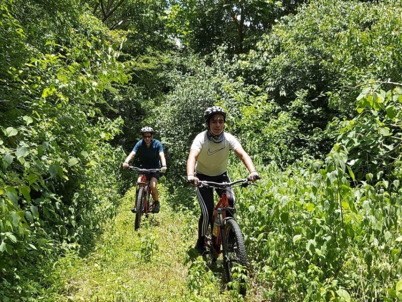 Oaxaca: Ejutla Canyon 1 Day Bike Tour - The Sum Up