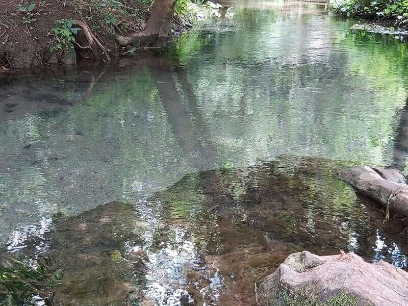 Oaxaca: Ejutla Canyon 1 Day Bike Tour - FAQ