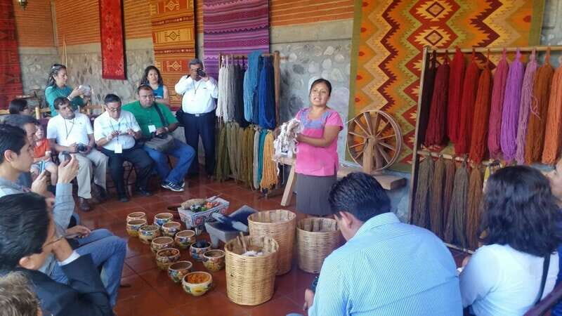 Oaxaca: El Tule, Mitla, and Hierve el Agua Tour with Mezcal - Key Points