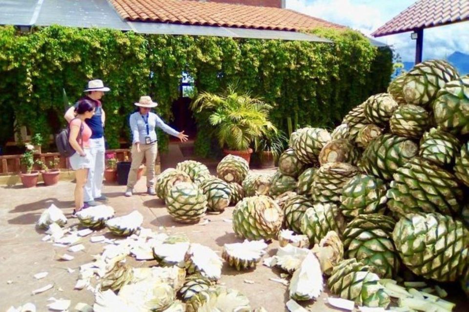 Oaxaca: Exclusive Private Yagul UNESCO Heritage Site Tour - Air-conditioned Transportation Provided