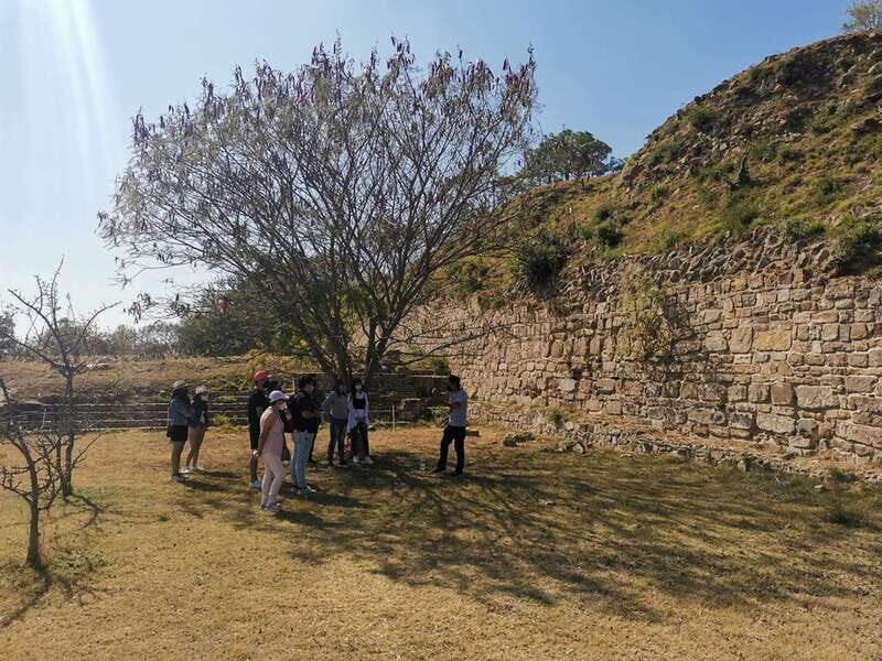 Oaxaca: Full Day Guided Tour on the Monte Alban Route - The Sum Up
