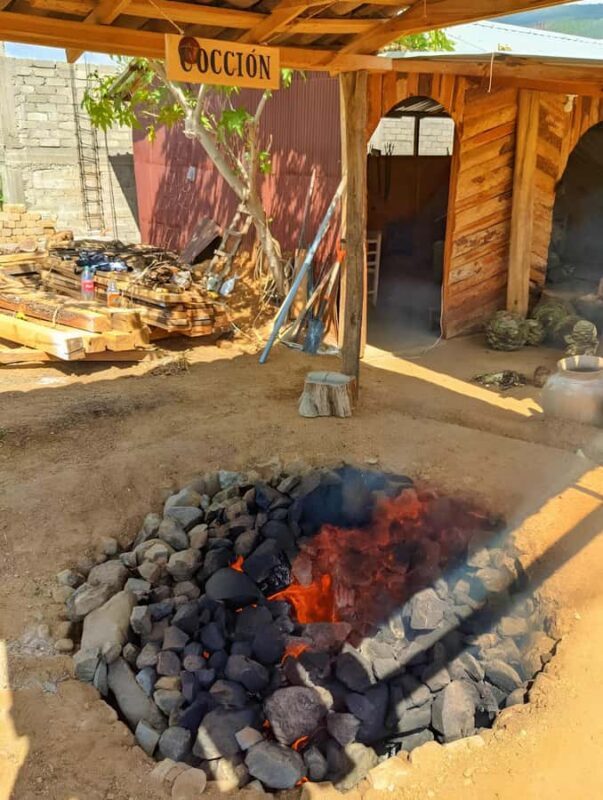 Oaxaca: full-day tour of Monte Alban, ancestral mezcal, alebrijes, and black mud - FAQs