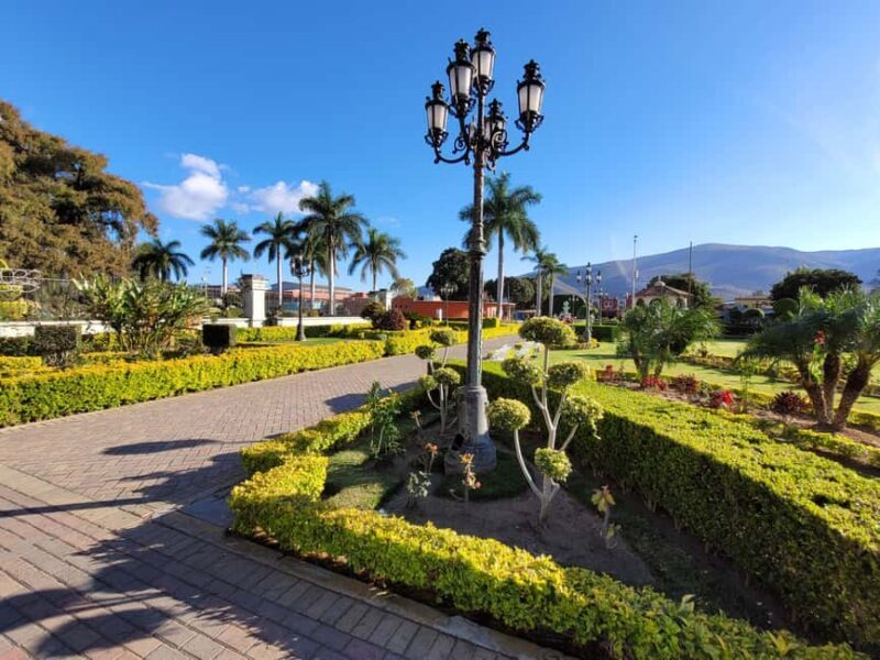 Oaxaca: Guided Bike Tour to the Largest Tree in the World - Who Will Love This Tour?
