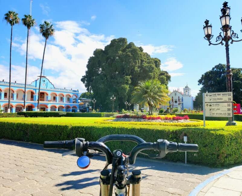 Oaxaca: Guided Bike Tour to the Largest Tree in the World - The Sum Up