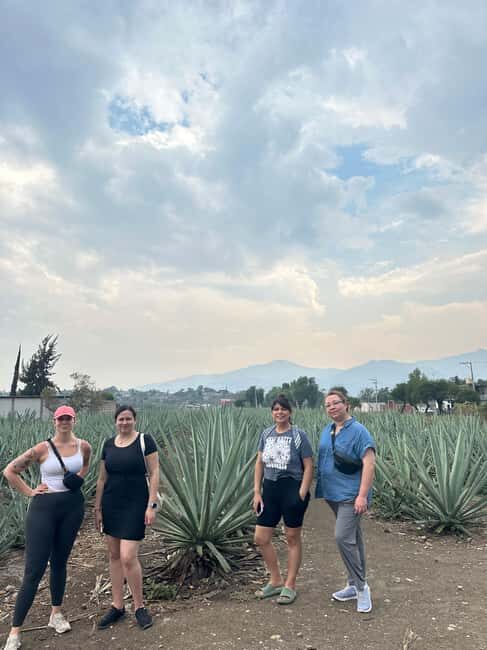 Oaxaca: Hierve el Agua & Mezcal Distillery Small-Group Tour - An In-Depth Look at the Tour Experience