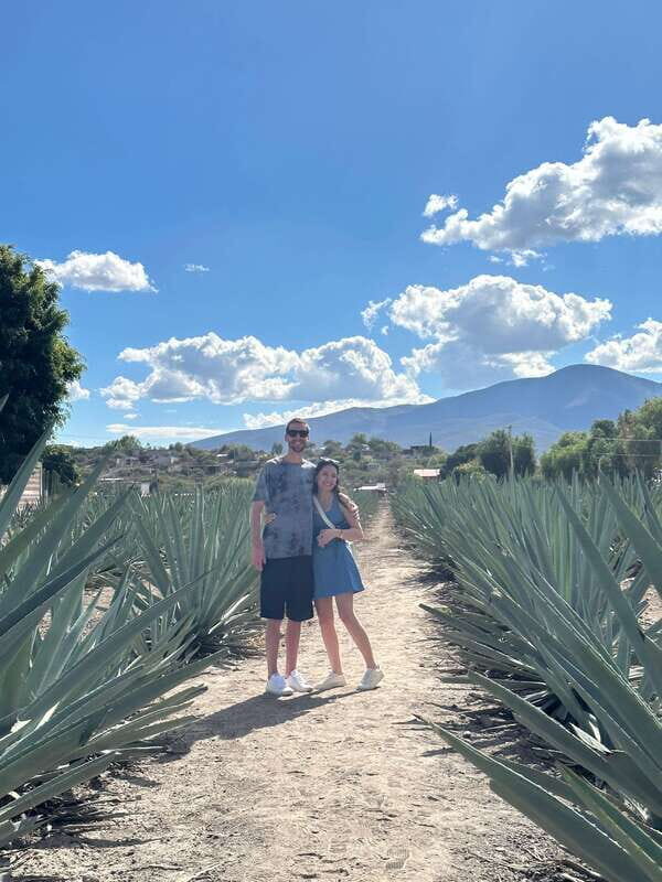 Oaxaca: Hierve el Agua & Mezcal Distillery Small-Group Tour - The Sum Up