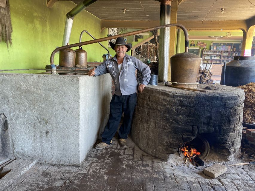 Oaxaca: Mezcal Adventure - Agave Plantation Visit