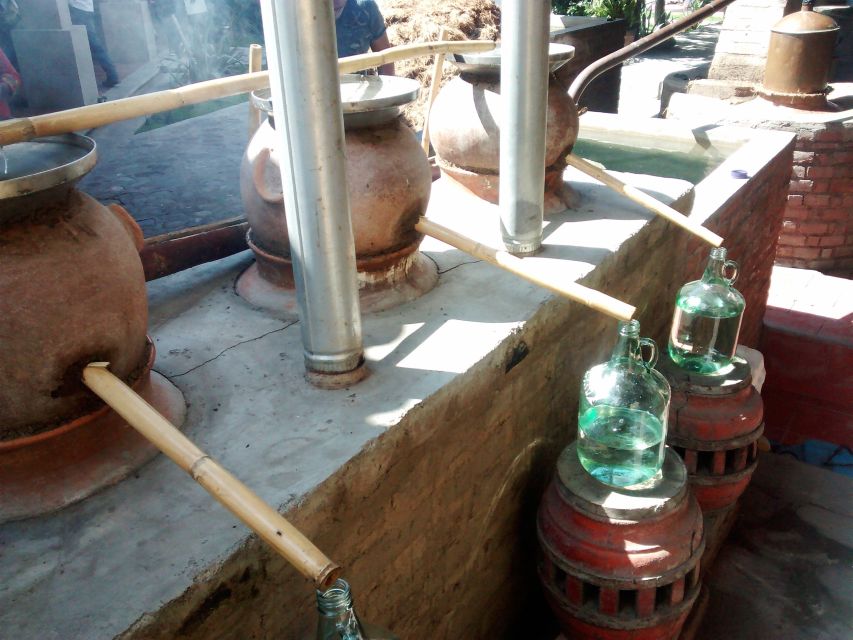 Oaxaca: Mezcal Adventure - Frequently Asked Questions