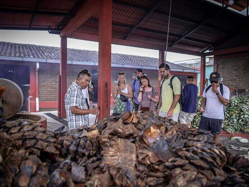 Oaxaca: Mezcal Distillery Tour with Tastings - Frequently Asked Questions