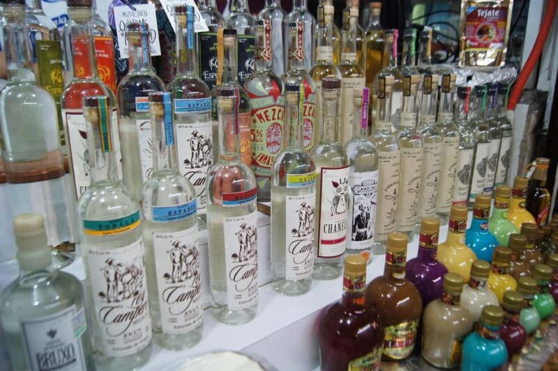 Oaxaca: Mezcal Tasting & Barrel Ride - The Itinerary: What to Expect on the Tour