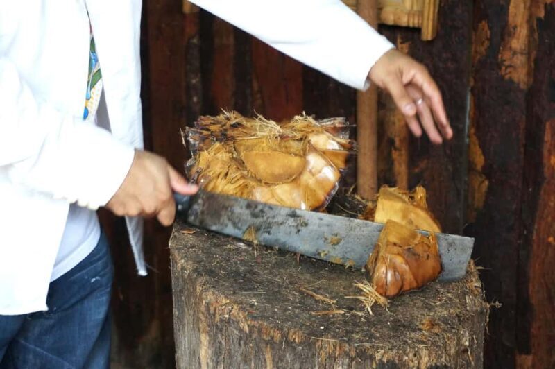 Oaxaca: Mezcal Tasting & Barrel Ride - Practical Details: What to Know Before You Go