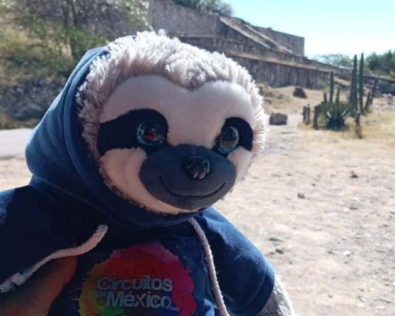 Oaxaca: Mezcal Tasting & Barrel Ride - Authenticity and Experience: Why This Tour Matters