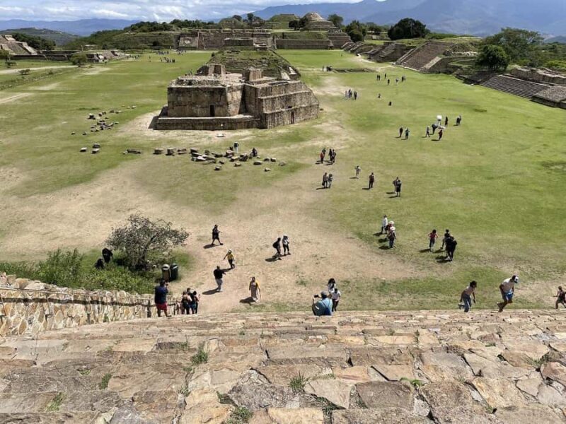 Oaxaca: Monte Alban, Alebrijes, & San Bartolo Tour - The Overall Experience: What Makes It Worthwhile