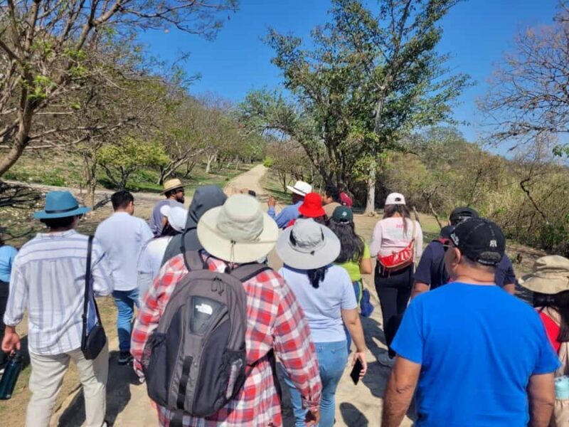 Oaxaca: Monte Albán Tour with Breakfast at Abastos Market - The Sum Up