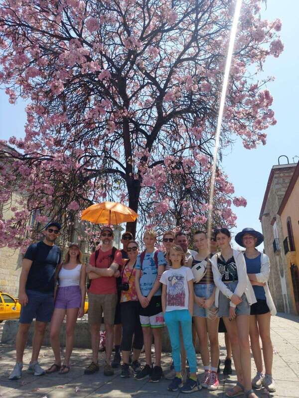 Oaxaca: Oaxaca City Beyond the Surface Walking Tour - Key Points