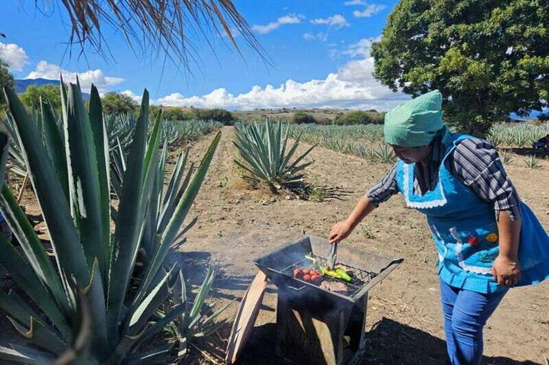 Oaxaca: Private Lunch in Maguey Fields with Mezcal Tasting - Discovering the Unique Setting of the Maguey Fields