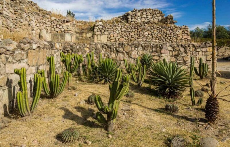Oaxaca: Private Mitla Tour with Chocolate Tasting by Car - A Traditional Oaxaca Lunch