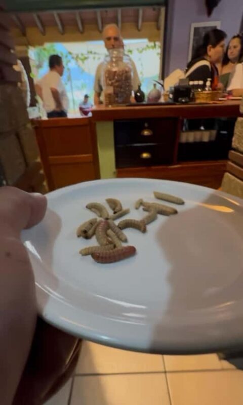 Oaxaca: Private tour to Monte Albán, El Tule Tree, and Teotitlán - In-Depth Look at the Tour Experience