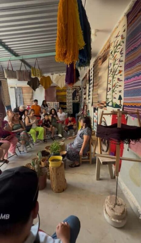 Oaxaca: Private tour to Monte Albán, El Tule Tree, and Teotitlán - The Sum Up