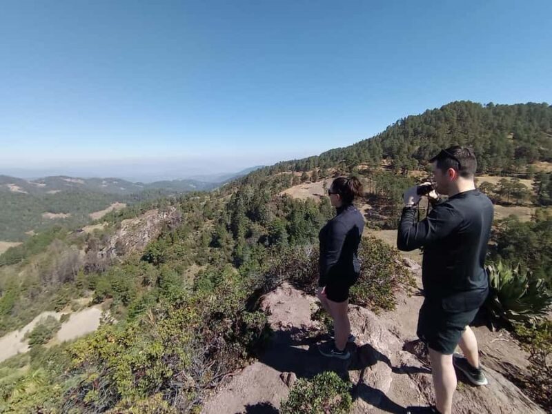 Oaxaca: Pueblos Mancomunados Hiking Tour - A Scenic and Cultural Journey in Oaxaca’s Sierra Norte