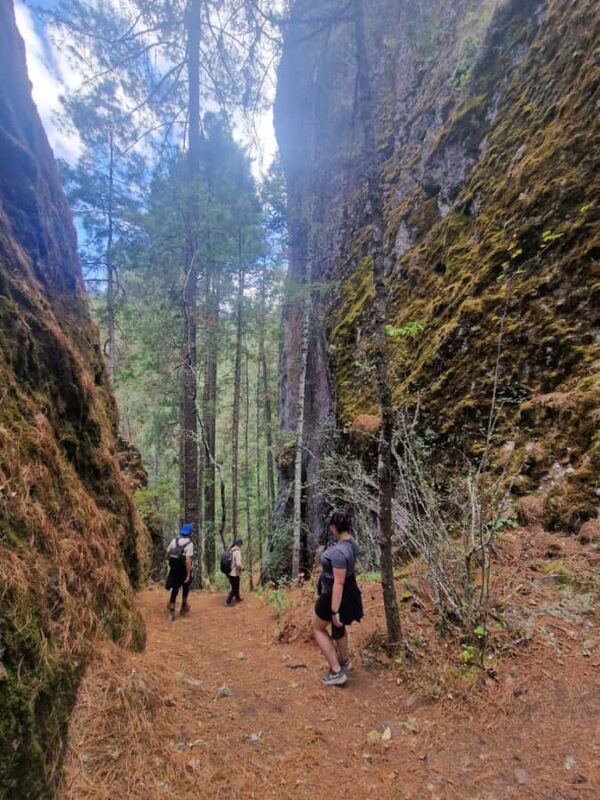 Oaxaca: Pueblos Mancomunados Hiking Tour - Trout Farm and Lunch
