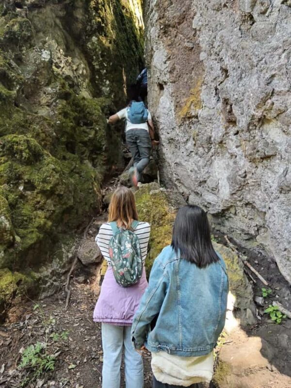 Oaxaca: Pueblos Mancomunados Hiking Tour - Who Should Consider This Tour?