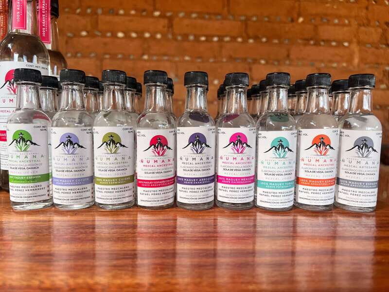 Oaxaca: Raíces Oaxaqueñas (Monte Alban) - Savoring Oaxacan Cuisine