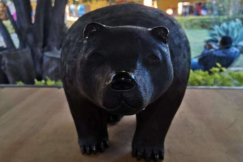 Oaxaca: Raíces Oaxaqueñas (Monte Alban) - Who Should Consider This Tour?