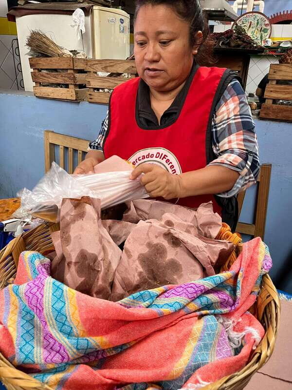 Oaxaca: San Martín Tilcajete, Jalieza & Ocotlán Crafts Route - Who This Tour Suits Best