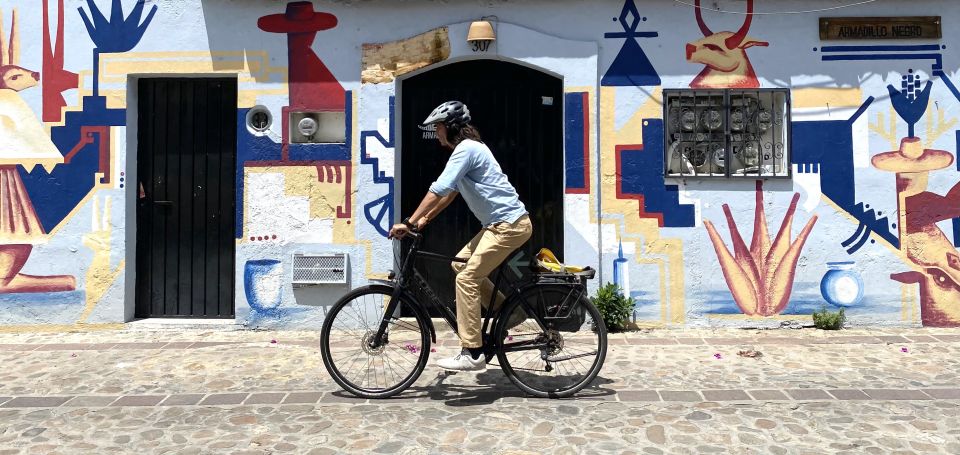 Oaxaca: Street Art Bike Tour - Exclusions