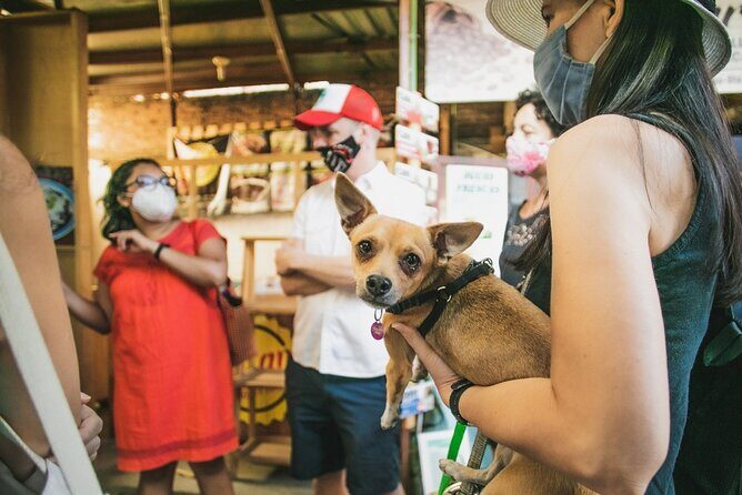 Oaxaca Street Food Tour. Signature Markets Tour - What to Expect from the Oaxaca Street Food Tour