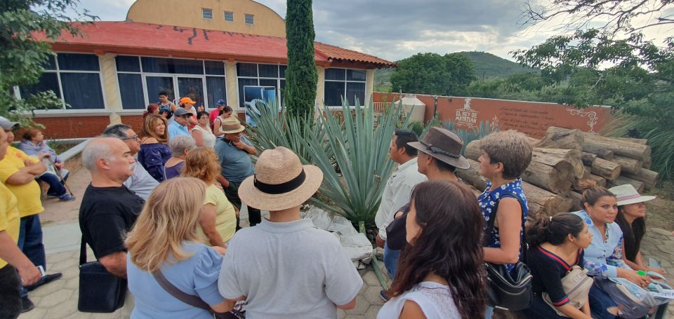 Oaxaca: The Tule, Mitla, and Hierve El Agua Tour With Mezcal - Convenient Transportation and Inclusions