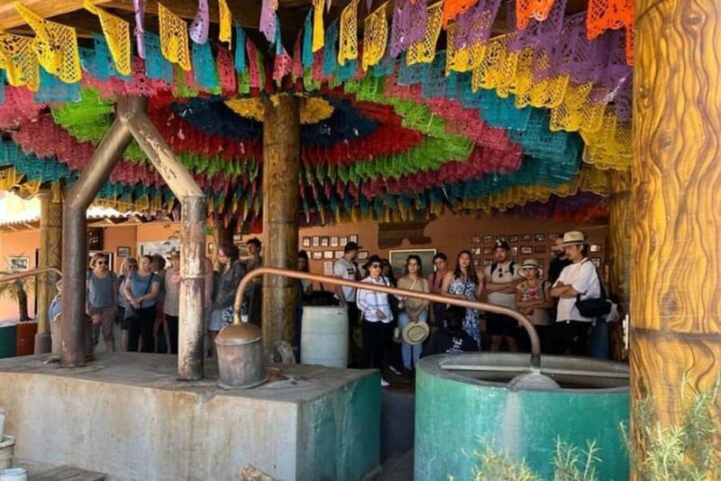 Oaxaca: Tule Tree, Teotitlán, Mitla and Hierve el Agua Tour - Who Will Love This Tour?