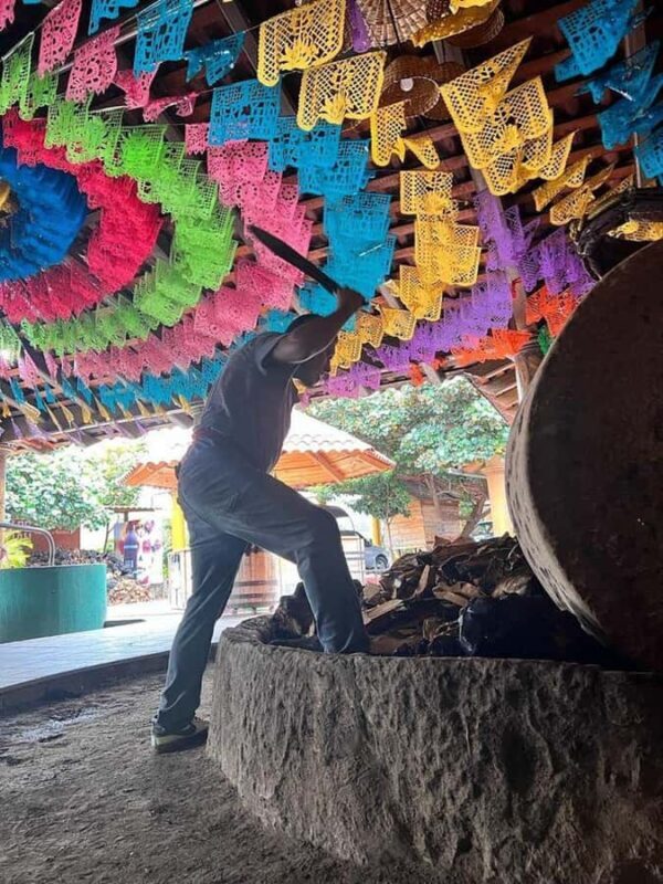 Oaxaca: Tule Tree, Teotitlán, Mitla and Hierve el Agua Tour - Frequently Asked Questions (FAQs)