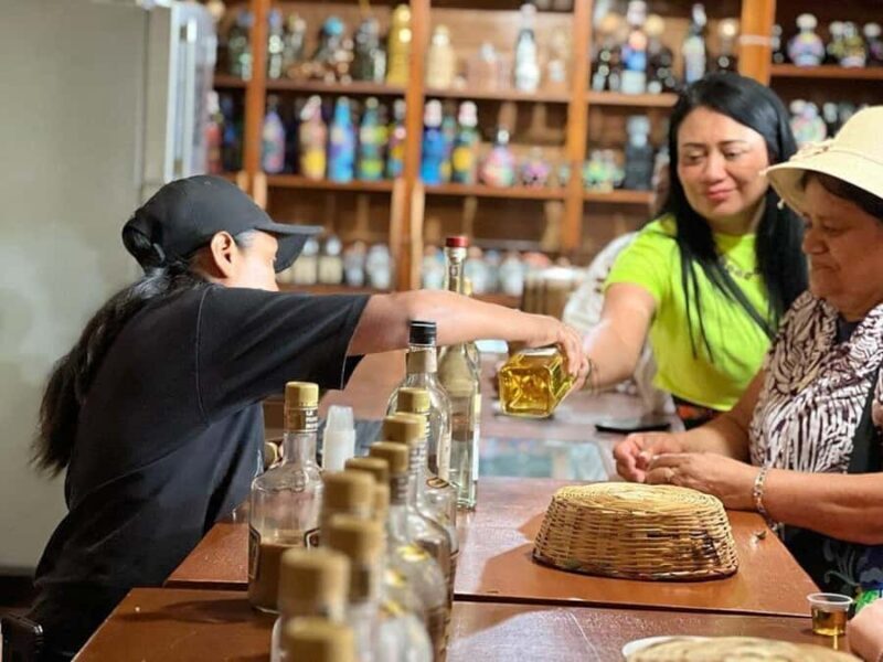 Oaxaca: Tule Tree, Teotitlán, Mitla and Hierve el Agua Tour - Final Thoughts