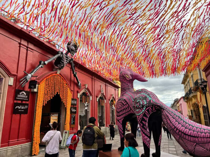 Oaxaca Walking Tour - Final Thoughts