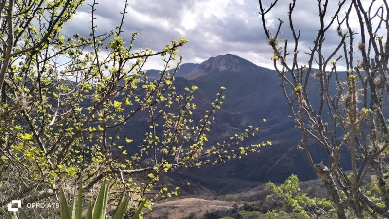 Oaxaca: Xaaga-Hierve el Agua 1 Day Hiking Tour - Why This Tour Works for You