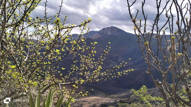 Oaxaca: Xaaga-Hierve el Agua 1 Day Hiking Tour - Who Should Consider This Tour?